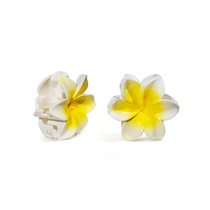 DAFNI KLIX - the flower -  white
